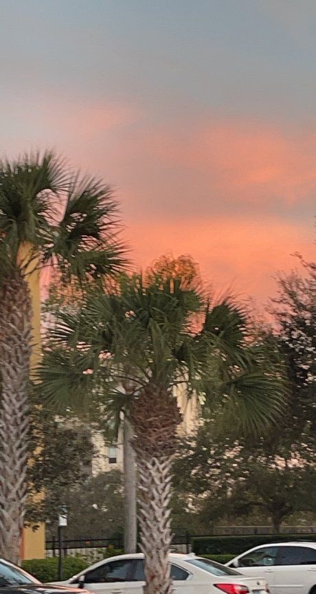 Mandi Yates naked pornstar pictures