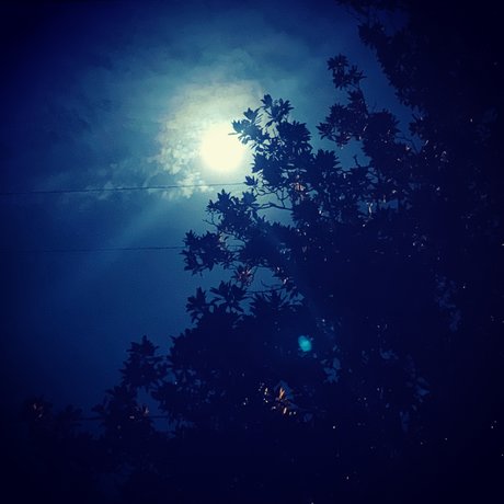 IndigoStar beautiful pornstar image