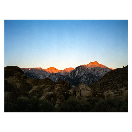 Matt Wolfe perfect actress img