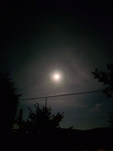 curvy shemale onlyfans nice photos