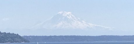 Irihonswag star high quality gallery