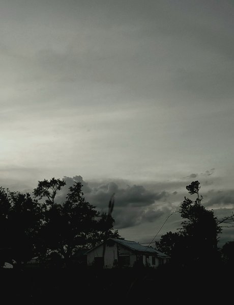 Alora Lane star hot image