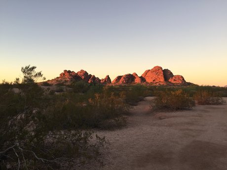 Dana Williams model sex picture