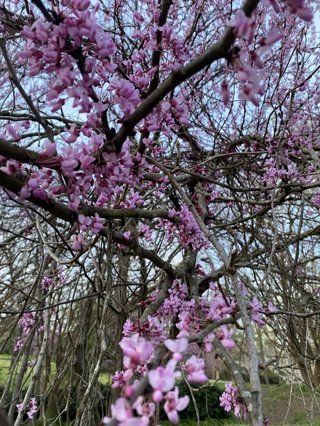 thrashersfan13 sexy star photos