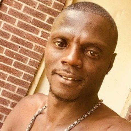 Bogator Mane 614 model top img