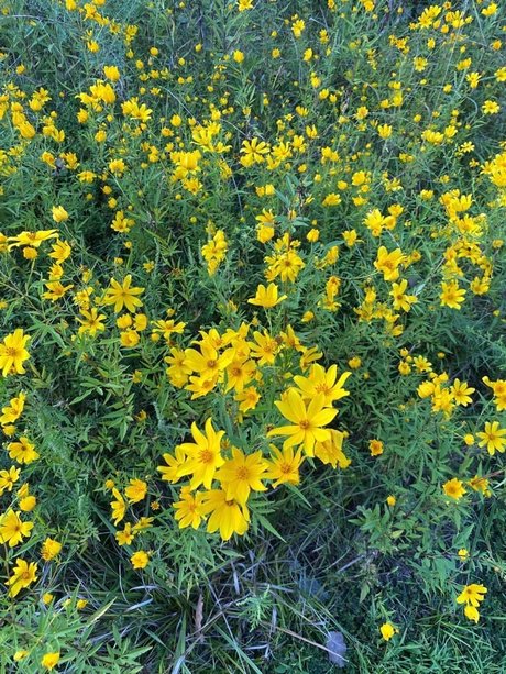 Joe Nathan nudes actress image