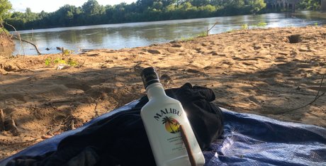 Halo nice actress gallery