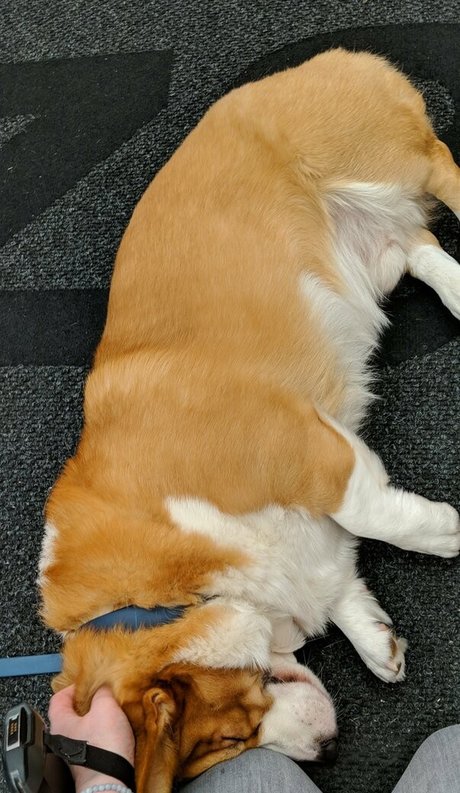 sincerelysarahtrickler hot star pics