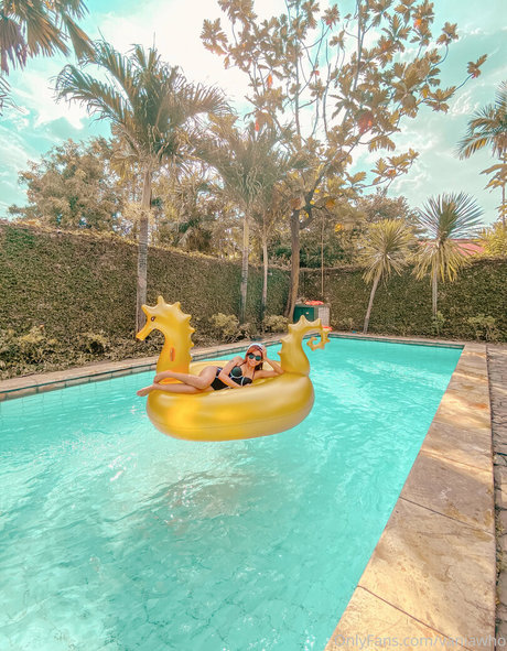 vaniawho beautiful pornstar img