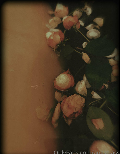 anast ass11 pornstar exclusive images