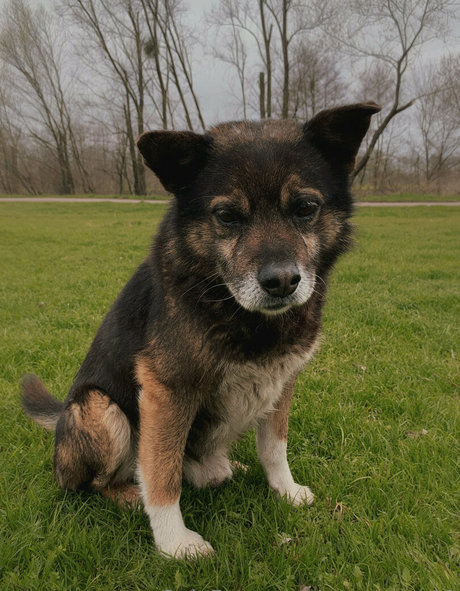 anast ass11 sex actress photos