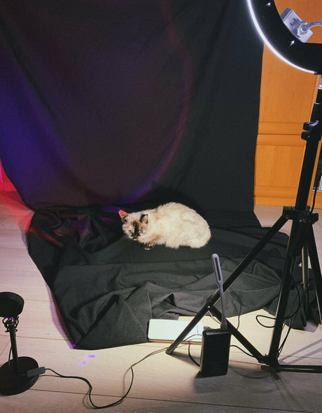 anast ass11 pornographic model pictures