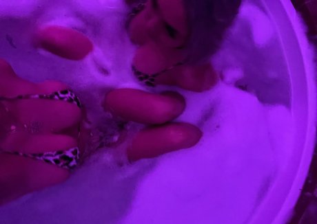 missoverdrip actress image