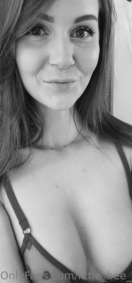 little bee free best star images