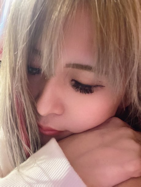 muchiaoi best star galleries