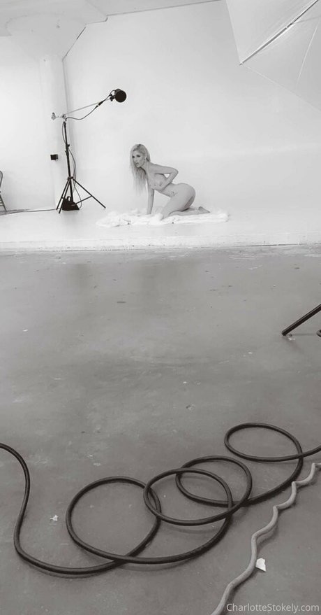 char stokely pornstar beautiful pictures