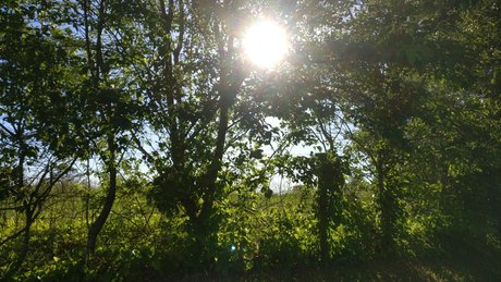 Muro pornstar art pictures