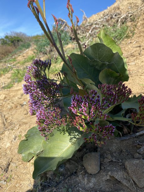 blonde milf big tits onlyfans hot sex images