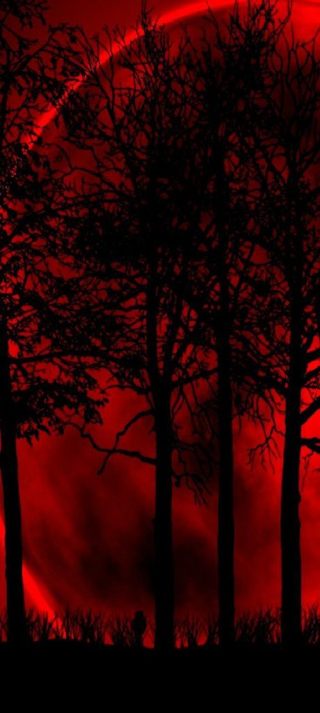 Karli Venom pretty actress image