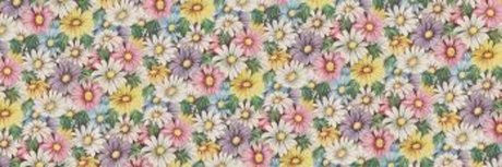 Claire Taylor top actress galleries