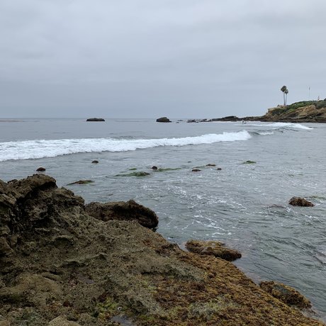 asian bbw onlyfans hd pic