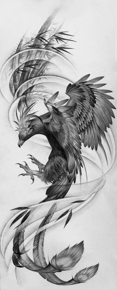 Charlie Agyva free star picture