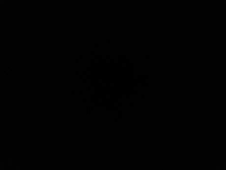 Get Money pornstar nude pictures