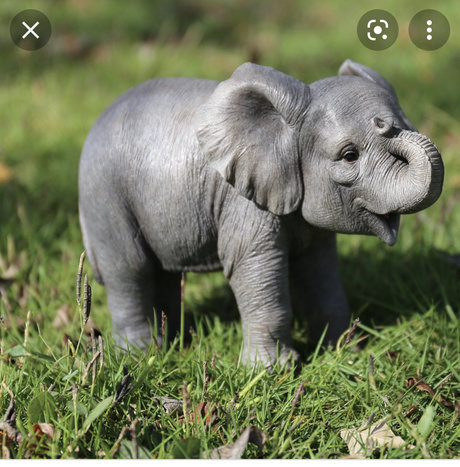 racheal stewart star nudes gallery