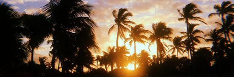 SSBBW Celestica backup hot pornstar galleries