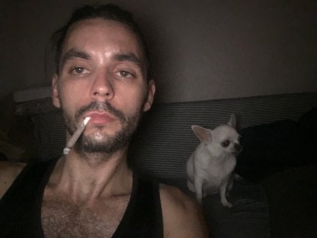 Zapekan hd model image