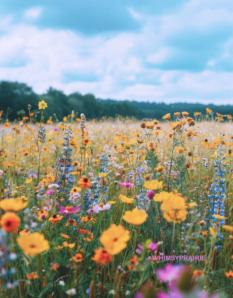 Larissa361Tx pornstar exclusive images