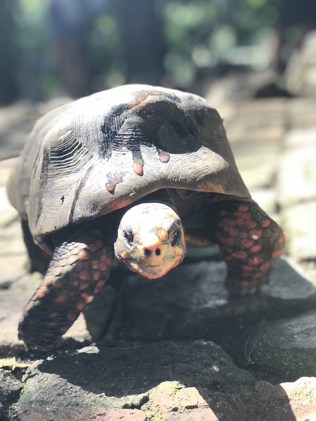 Jon Jinx xxx star picture