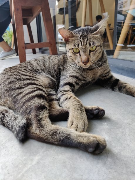 Manussapohn Mook nudes star pictures