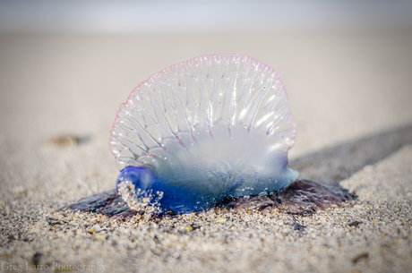 leather leggings onlyfans sex archive