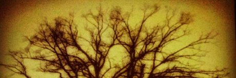 Jesse Prather sexy model image