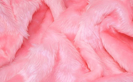 unicorn exclusive model picture