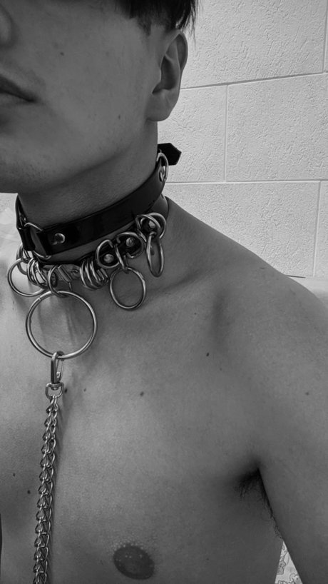 xronx hd actress pictures