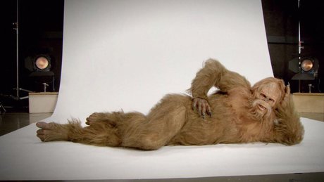 Fluffernutter star best pictures