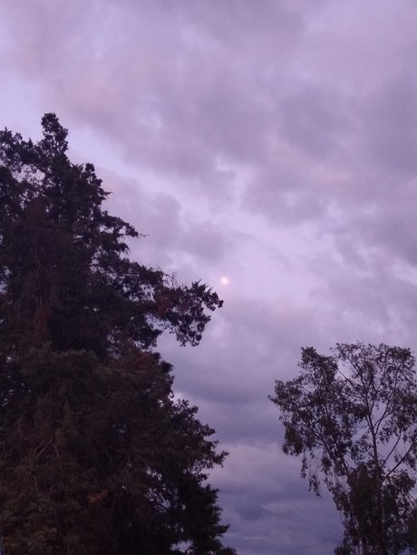 El curioso free pornstar pic