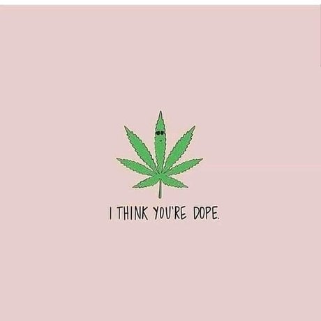 hot shemale onlyfans nudes photo