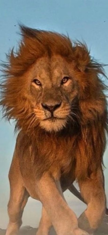 Lionel77 model exclusive photos