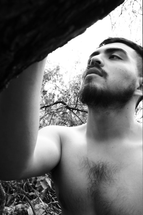 Rolitoyakimeshi nice model archive