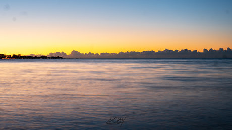 _T 10 0 naked pornstar archive