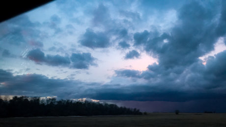 Lynn Austin art pornstar galleries