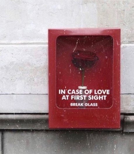 Nicu Iulian best pornstar images