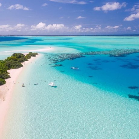 Angeles pornstar adult gallery