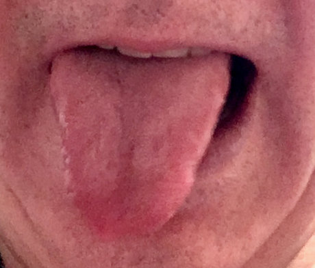 DutchBoy2540 erotic actress img