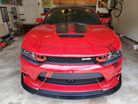 Tyler Moore star sexy archive