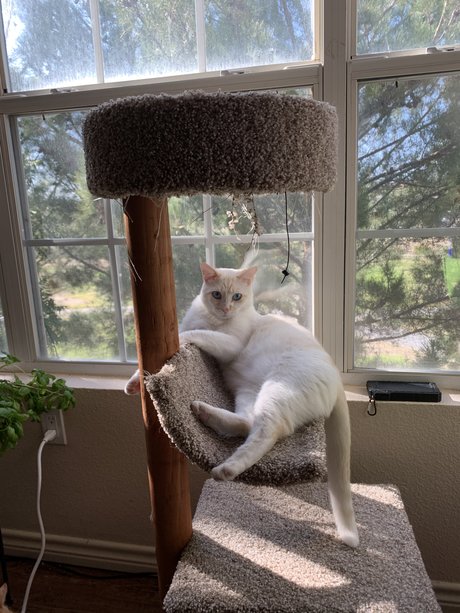 Cosplayer star nude photo