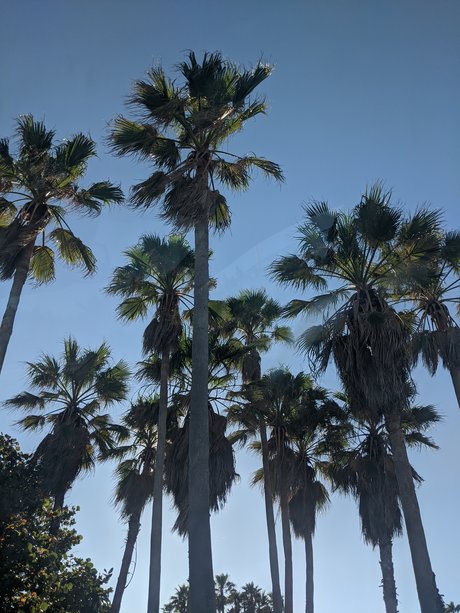 nerdy onlyfans nice image